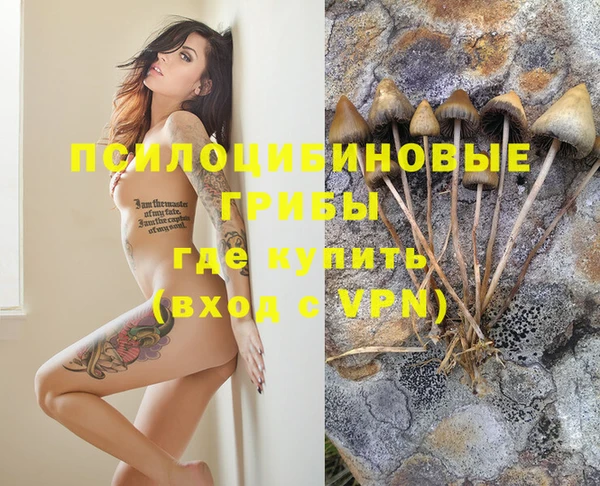 мет Вяземский