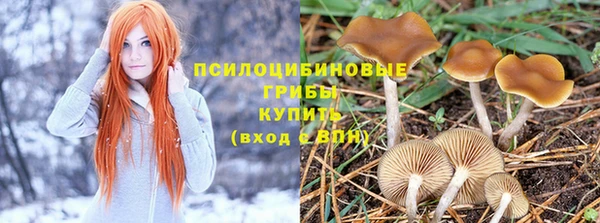 мет Вяземский