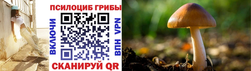 Псилоцибиновые грибы Cubensis Юхнов
