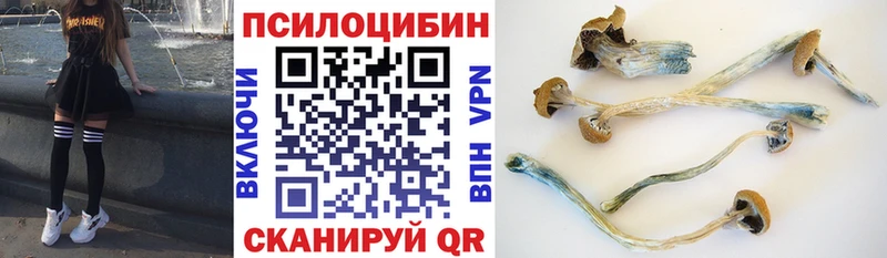 дарнет шоп  Юхнов  Галлюциногенные грибы MAGIC MUSHROOMS 